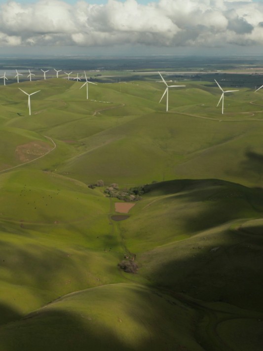 Responsabilidade Ambiental