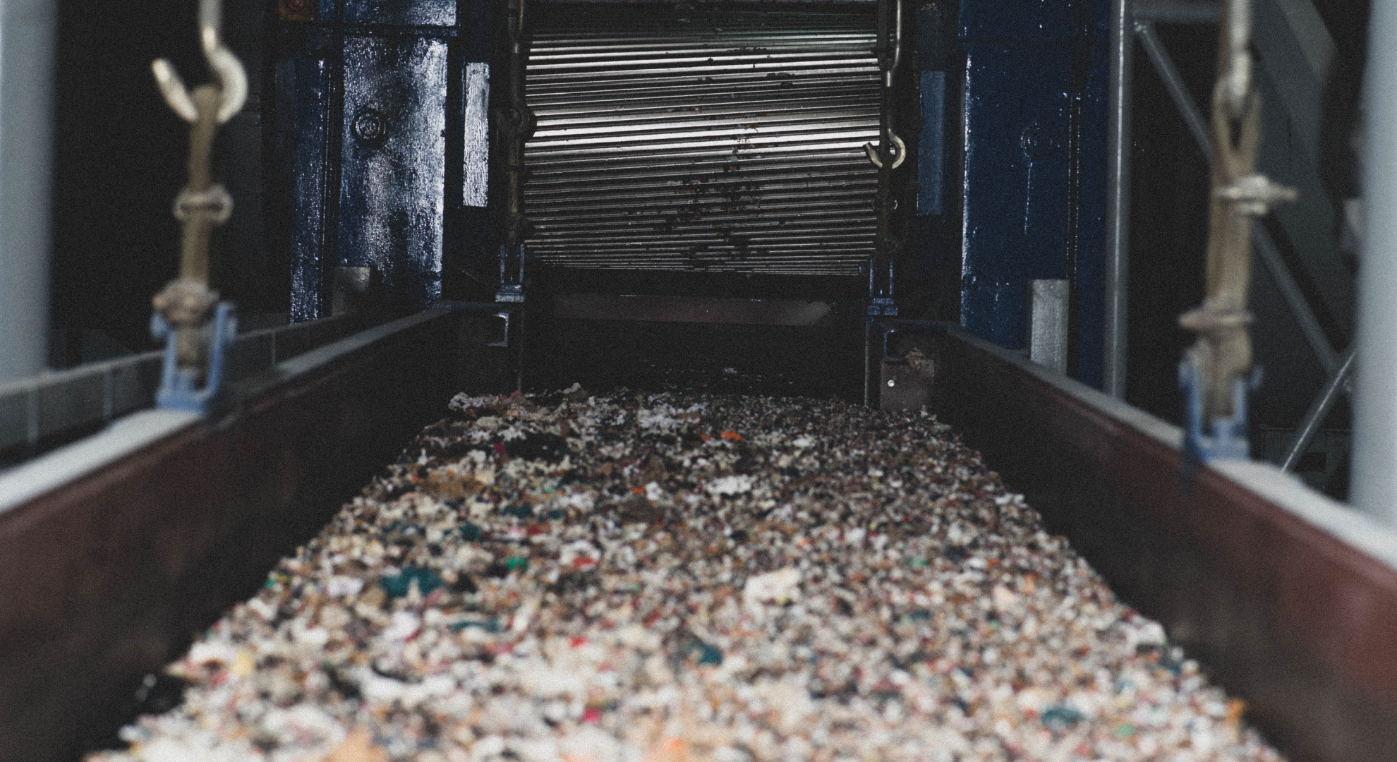 Utilize para we reduce our ecological footprint