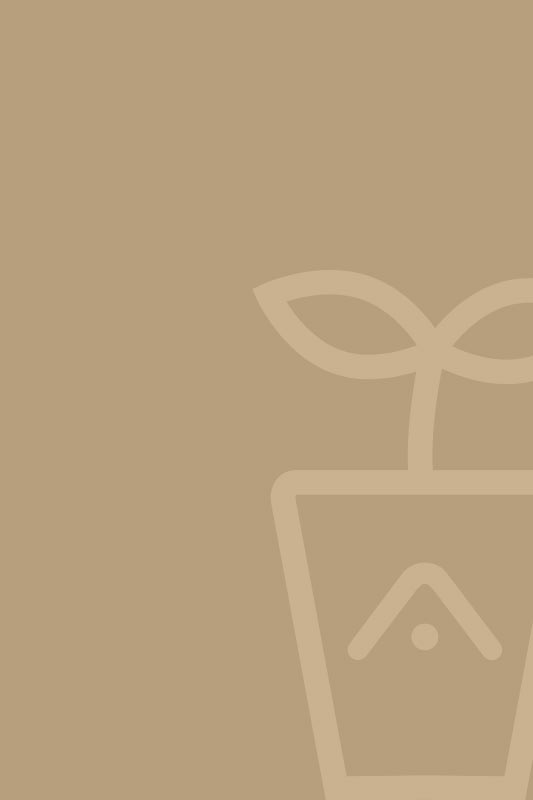 Use to sustainable packaging