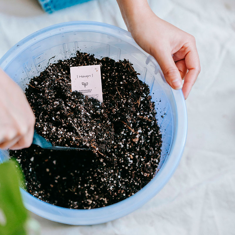 Utilizzare per vedi di più