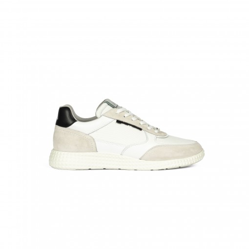 EAGLE Lace Up Sneaker EAGLE Lace Up Sneaker