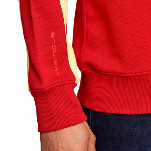 Striped Sleeve Sweatshirt Striped Sleeve Sweatshirt
