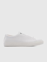 Offwhite