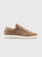 Taupe Taupe